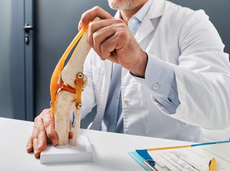 doctor showing knee model